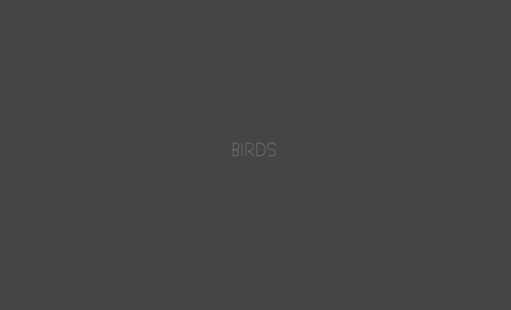 Birds 0