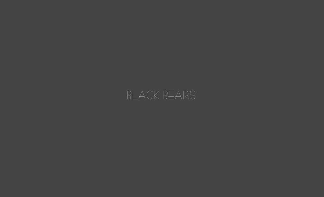 Black Bear 0