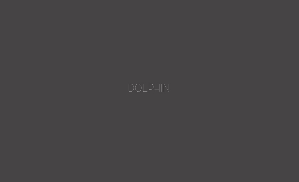 Dolphin 0
