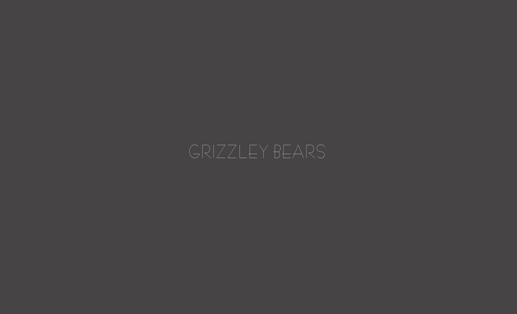 Grizzly Bear 0